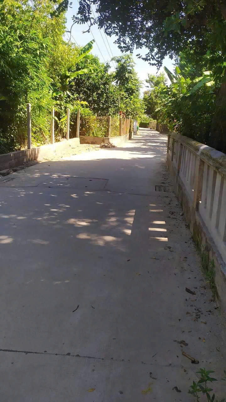 Cho Thuê Nhà Nguyên Căn Gần Cầu Nguyễn Hoàng - Ảnh 7