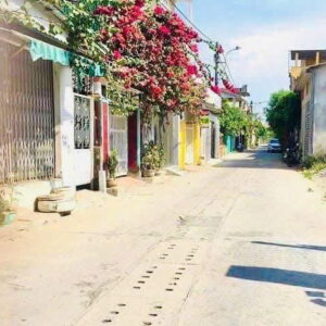 Cho Thuê Đất Mặt Tiền Phan Đình Giót – Vị Trí Đẹp, Dễ Kinh Doanh