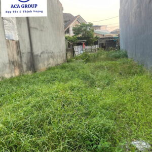 Cho Thuê Đất Mặt Tiền Nguyễn Minh Vỹ